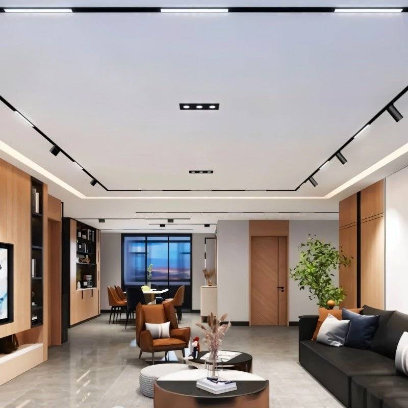 Clérachic black track lighting run along a living room ceiling, illuminating a bookshelf, sofa and dining nook.