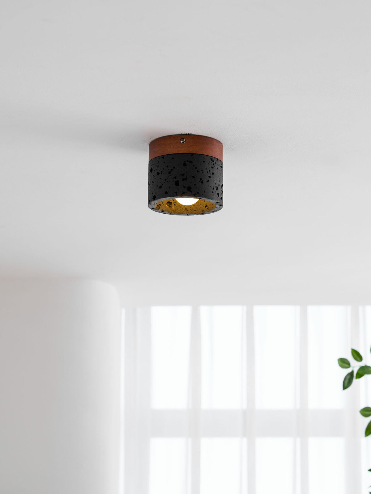 A lit Clérachic flush ceiling light seen from a low angle, with sheer curtains and a green leaf at the lower edge.