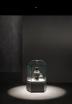 Clérachic recessed downlight casting a crisp circle of light over a glass display case in a dark gallery room.