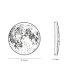 Clérachic wall light dimension drawing, 81 cm,  Illuminated Art, every measurement marked in centimetres and inches.