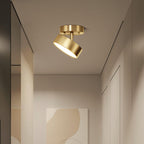 This Clérachic brass ceiling light with its head swung to one side, above a plain hallway with soft beige wall panels.