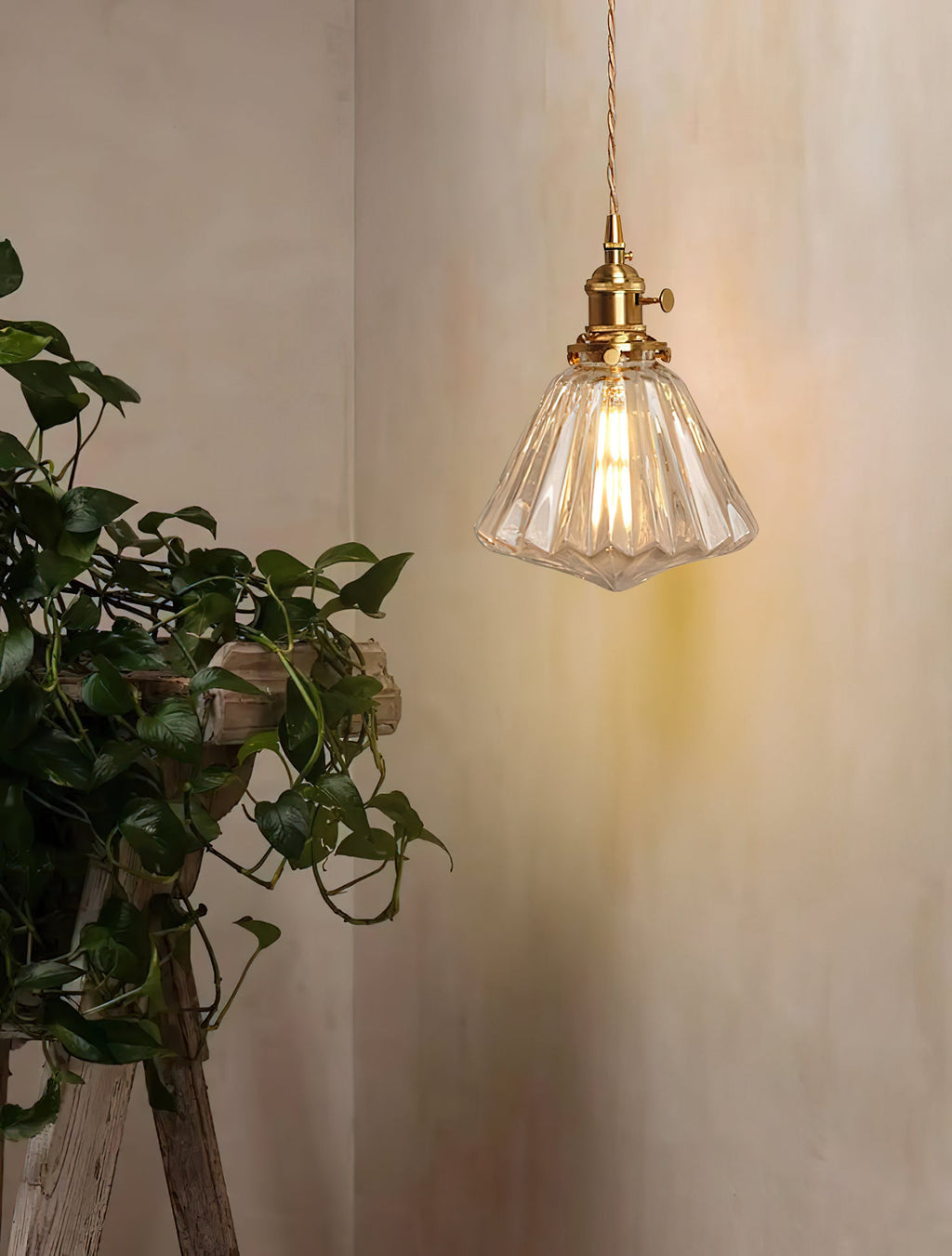 A Clérachic wall light with a small ribbed glass shade, hung beside a trailing green plant on a warm, softly lit wall.