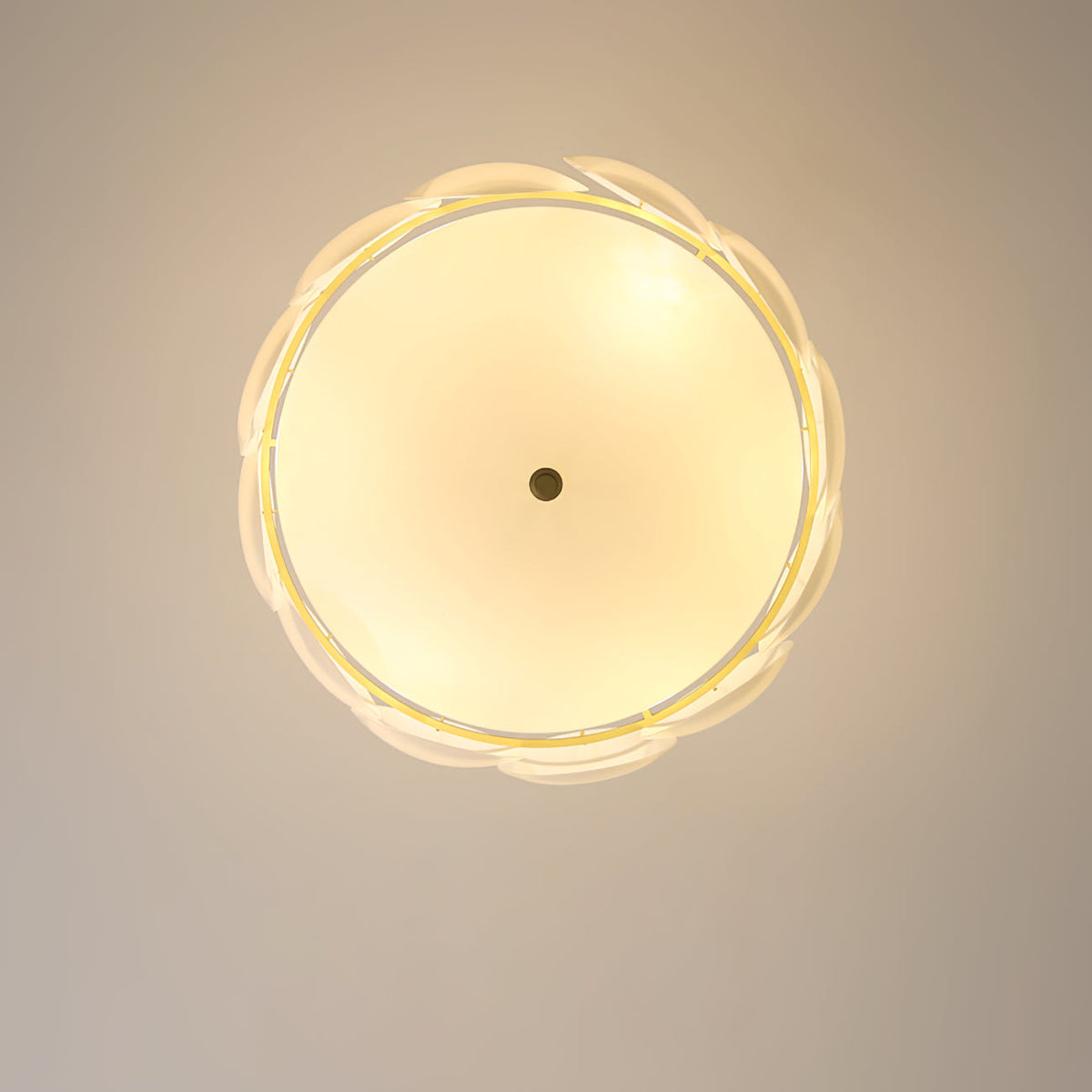 View from directly below of this Clérachic chandelier lit, a warm glow behind the scalloped ring of white shell shades.