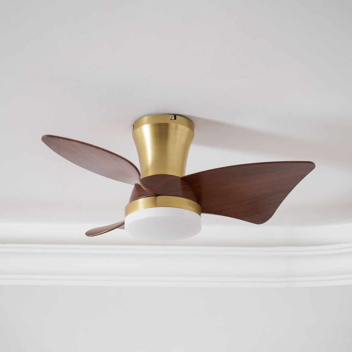 A Clérachic gold and walnut ceiling fan with a round white light, mounted flush against a white ceiling with plaster moulding.