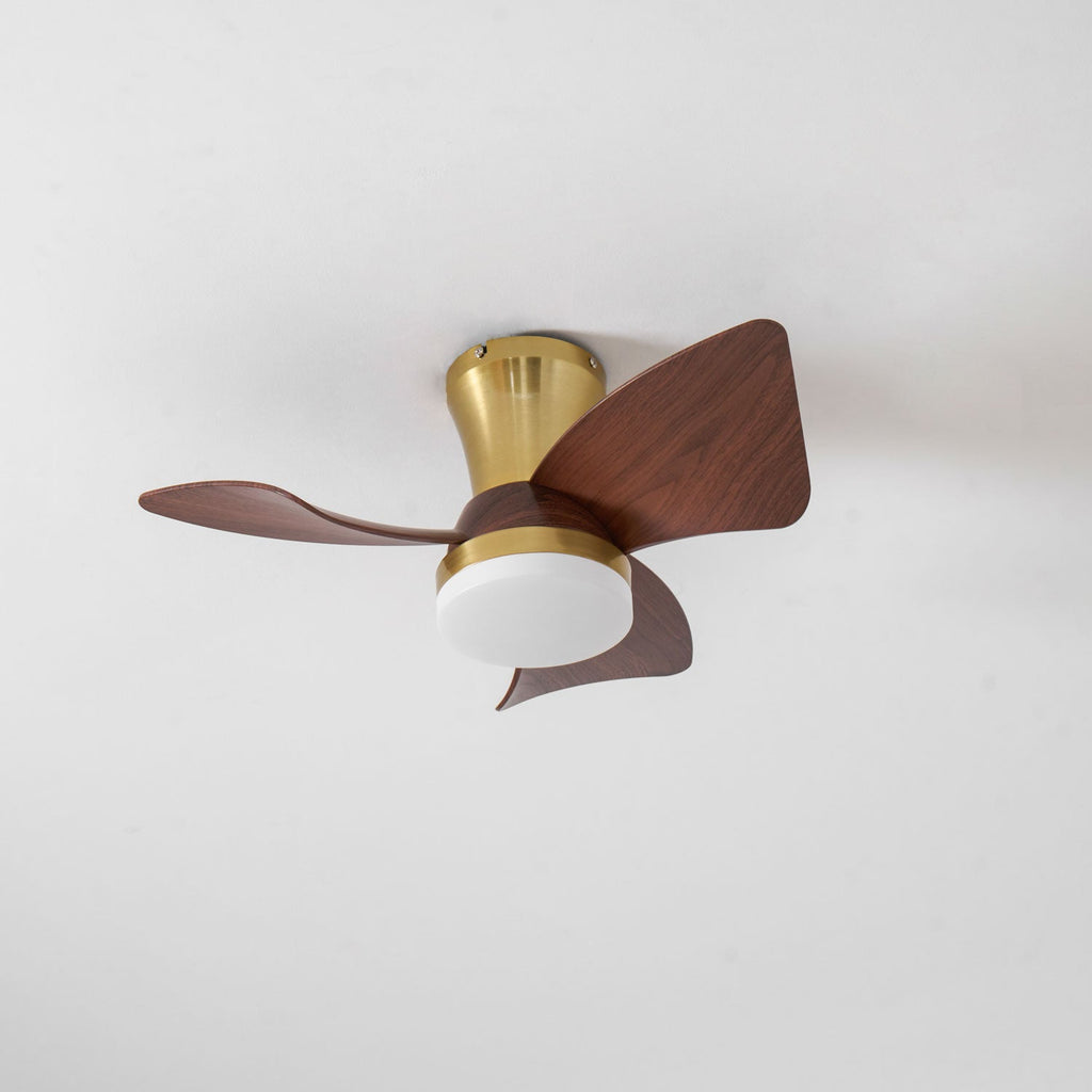 The Clérachic gold ceiling fan viewed from below with its light off, showing the trumpet canopy and three curved walnut-grain blades.