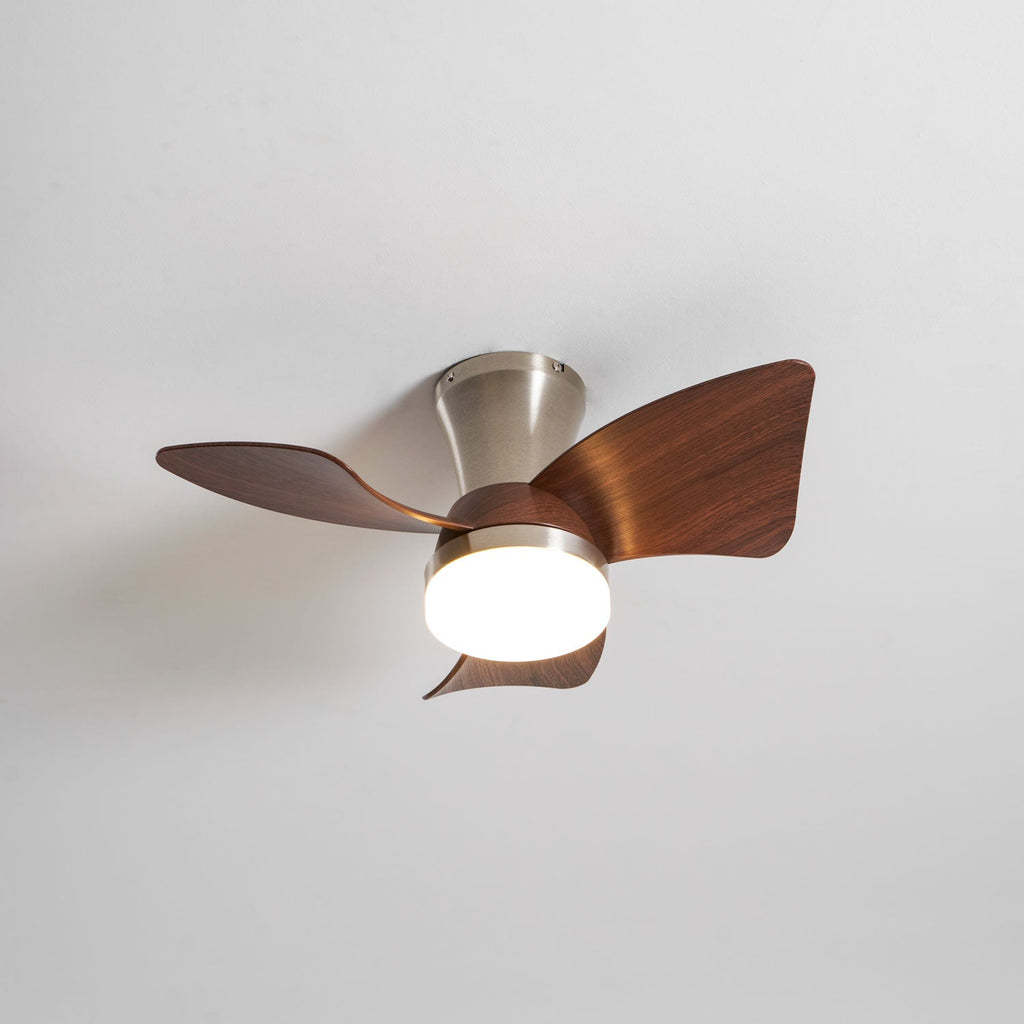 A Clérachic nickel fan seen from the front, with a bright warm light and the walnut-grain blades spread out evenly.