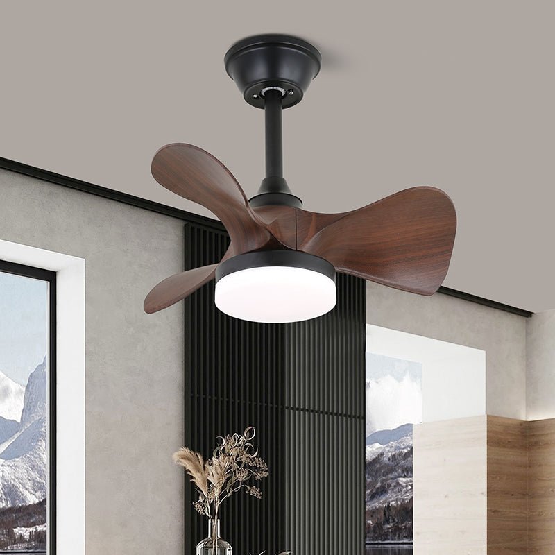 Wide, rounded walnut blades and a lit white light on this Clérachic fan, seen above a modern room with a tall window.