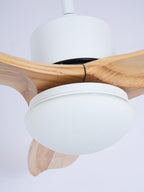 Close view of the white round light shade and motor housing on this Clérachic ceiling fan, with wooden blades around it.