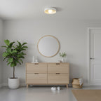 A distant Clérachic ceiling light above an entry with a light wood chest of drawers, a round mirror and a large potted plant.