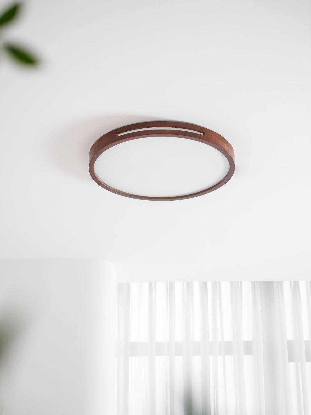 Walnut ring ceiling light from Clérachic on a white ceiling, with a blurred curtain and a leaf at the edge of the frame.