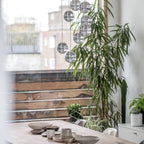 Clear bubbled glass spheres of this Clérachic pendant light hang near a terrace window, with a tall plant and a timber table beside them.