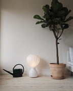Floor-standing Clérachic lamp softly lit on pale wooden boards, next to a terracotta pot with a tall fiddle-leaf fig.