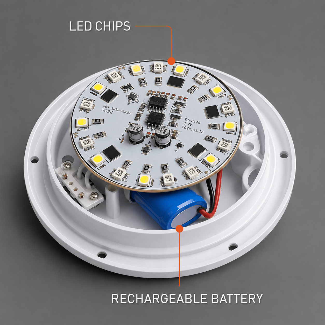Cutaway of the Clérachic orb lamp showing its LED chip ring and rechargeable battery.