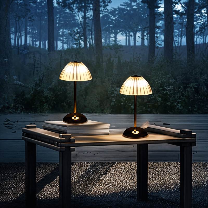 Two Clérachic cordless table lamps with ribbed dome shades, glowing warm on a low wooden table, one on a stack of books.