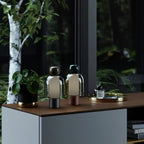 Two Clérachic table lamps with glass domes on a wood-topped cabinet beside a plant, a tray and a small bottle, by a dark window.