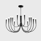 Wide, low view of a black Clérachic chandelier with a broad spread of looping arms and a rod from a round plate.