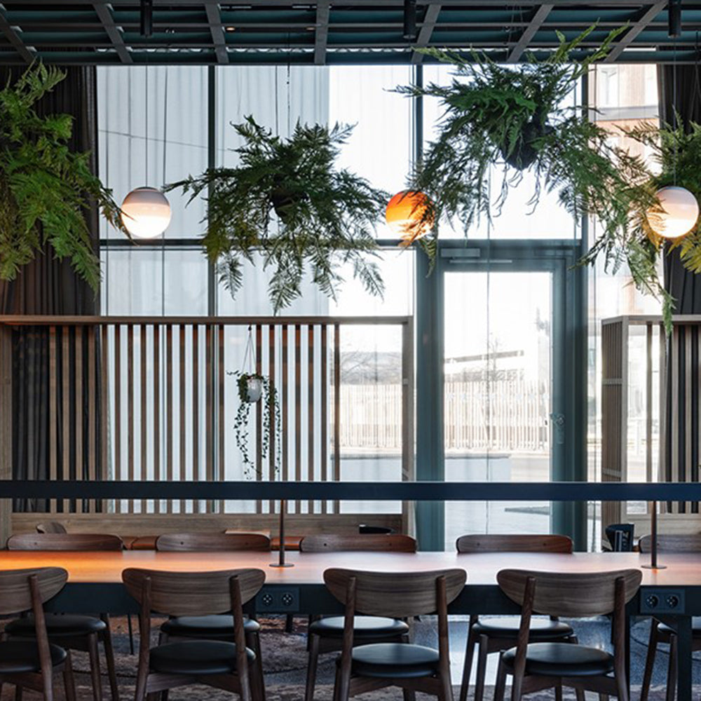 Clérachic dipped gradient glass pendant lights set among hanging ferns above a long café bench by tall windows.