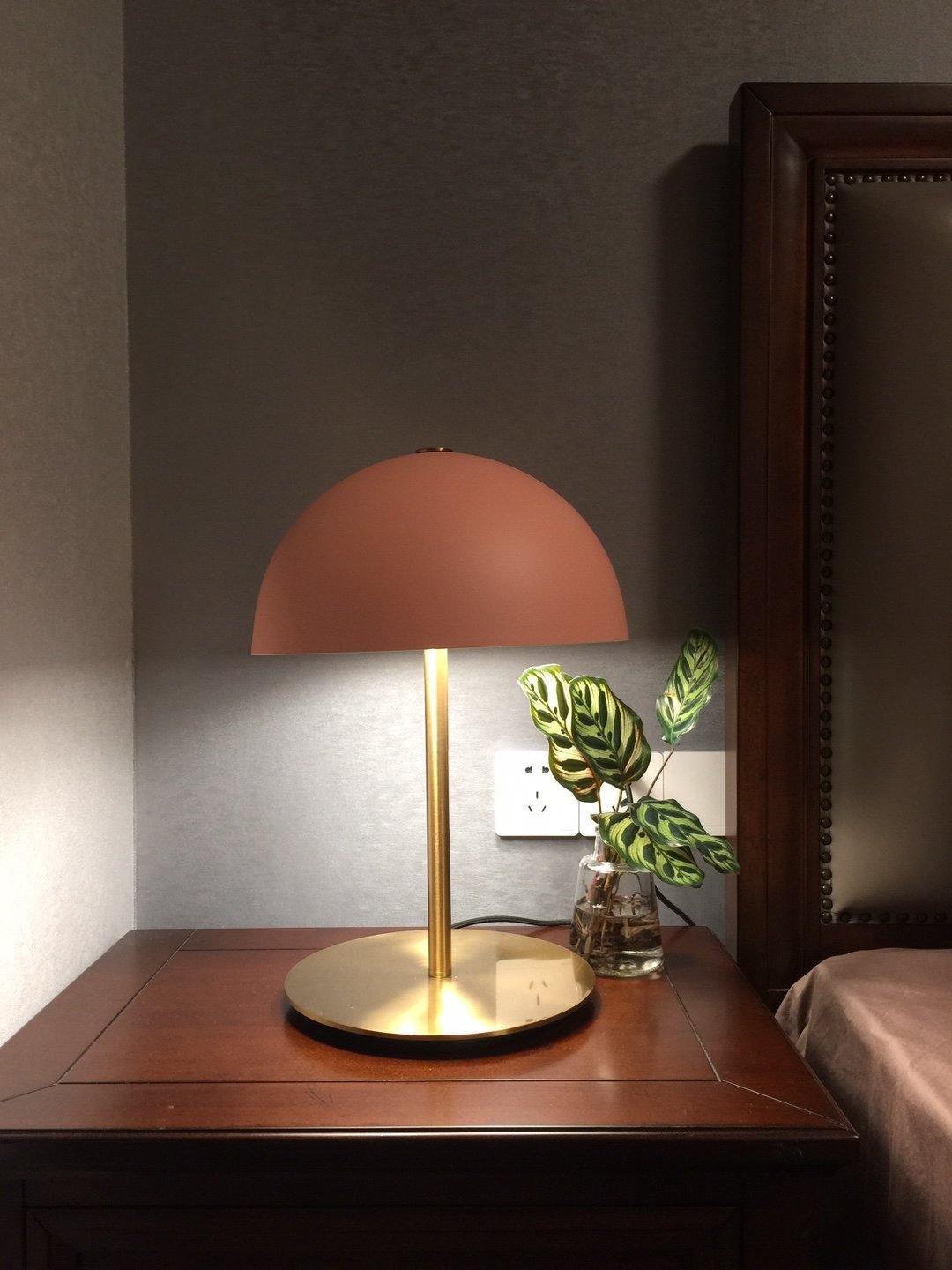 Terracotta-pink dome lamp from Clérachic on a dark wood bedside table, with a leafy plant and a wooden headboard.