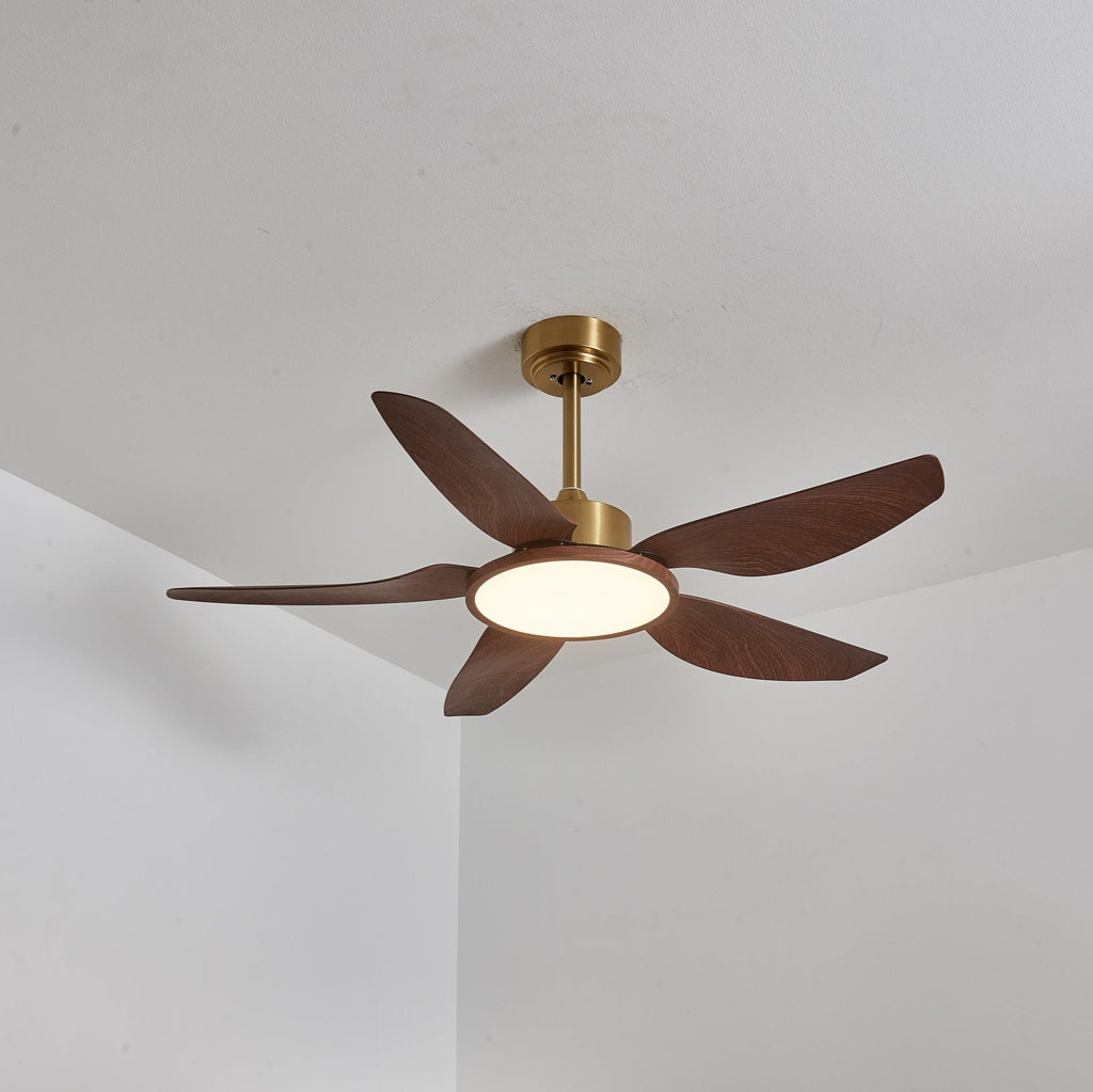 A Clérachic ceiling fan in a warm-lit view from below, its five walnut-grain blades spread beside a ceiling corner.