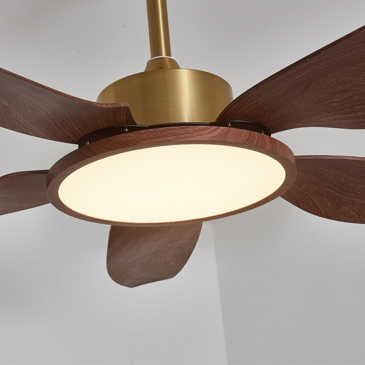 Close view of the lit LED disc on this Clérachic fan, glowing warm inside a walnut-grain ring below the gold motor housing.