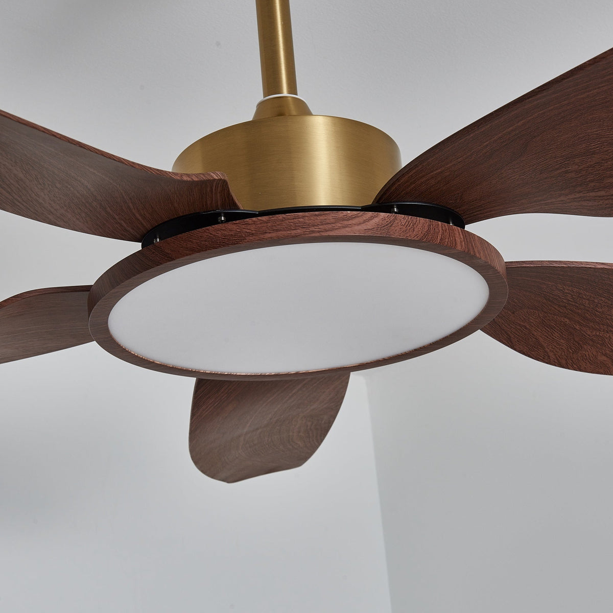 Close view of the unlit LED disc on this Clérachic fan, set in a walnut-grain ring beneath the gold motor housing.