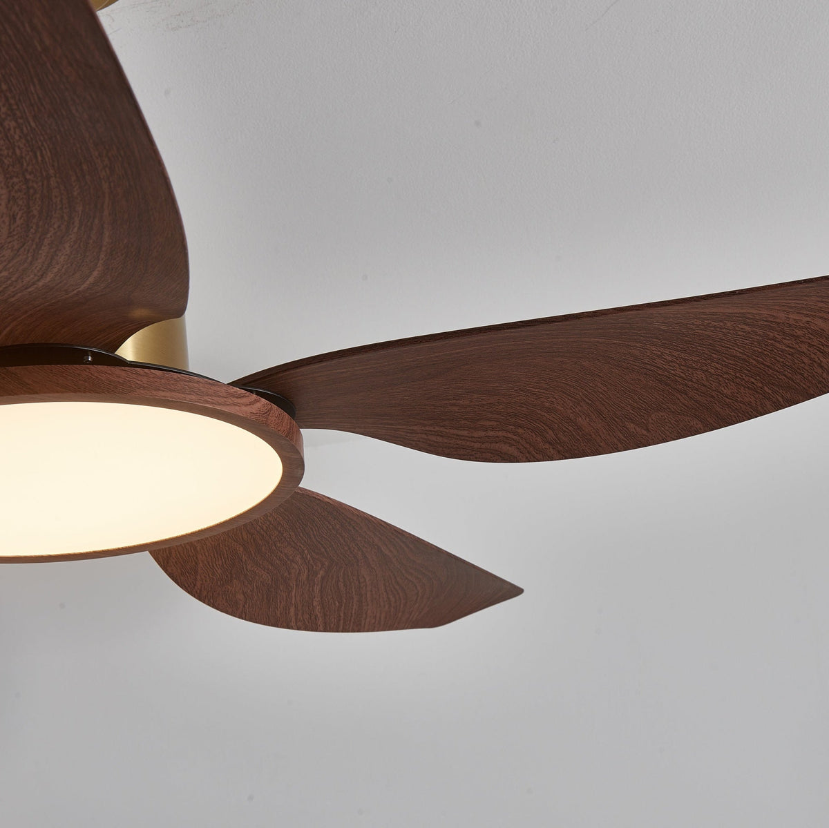 Close view of one wide walnut-grain blade and the edge of the lit light ring on this Clérachic ceiling fan.