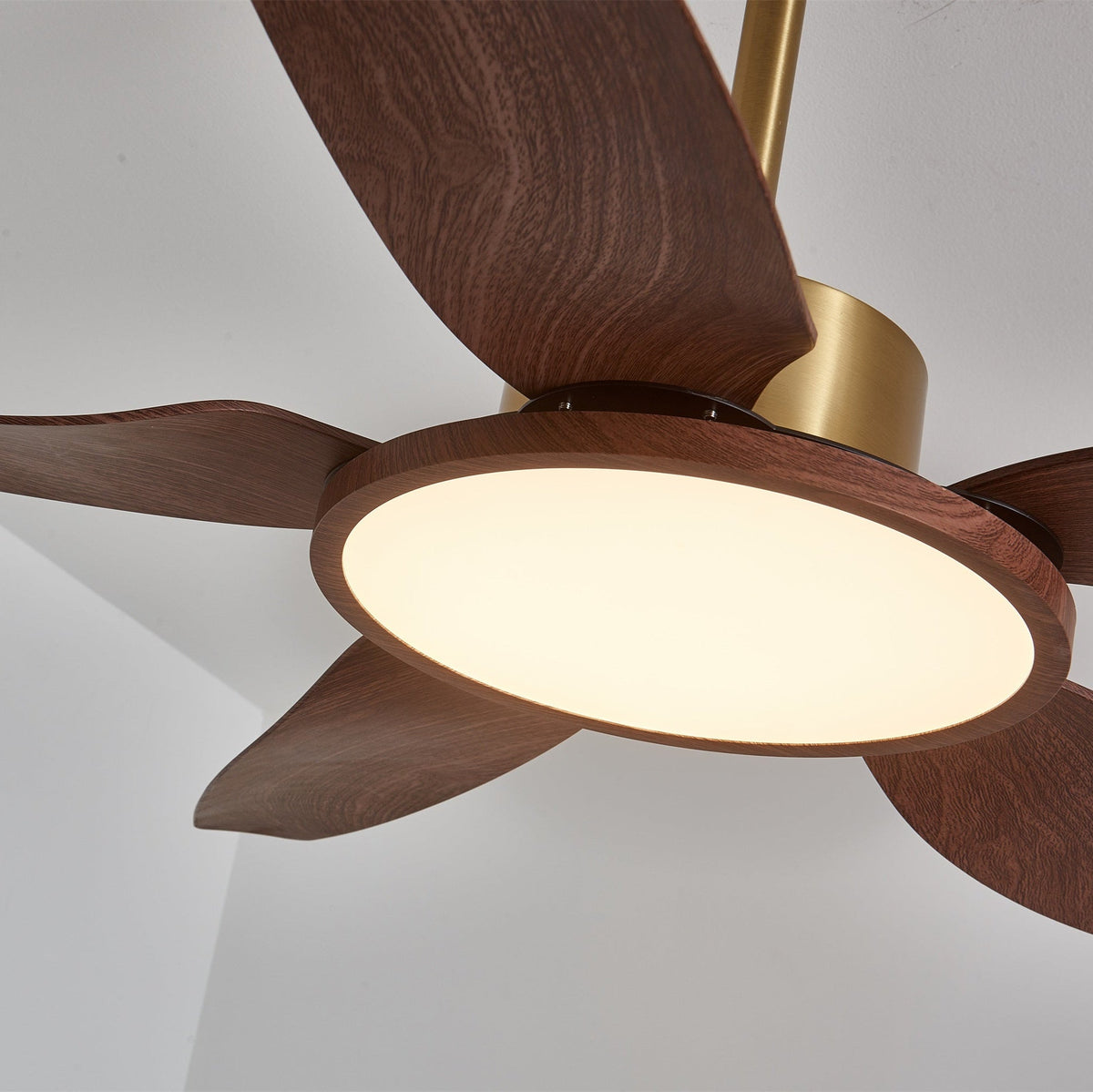 Close view of the warm-lit LED ring and the wood grain of the blades on this Clérachic fan, below the gold motor housing.