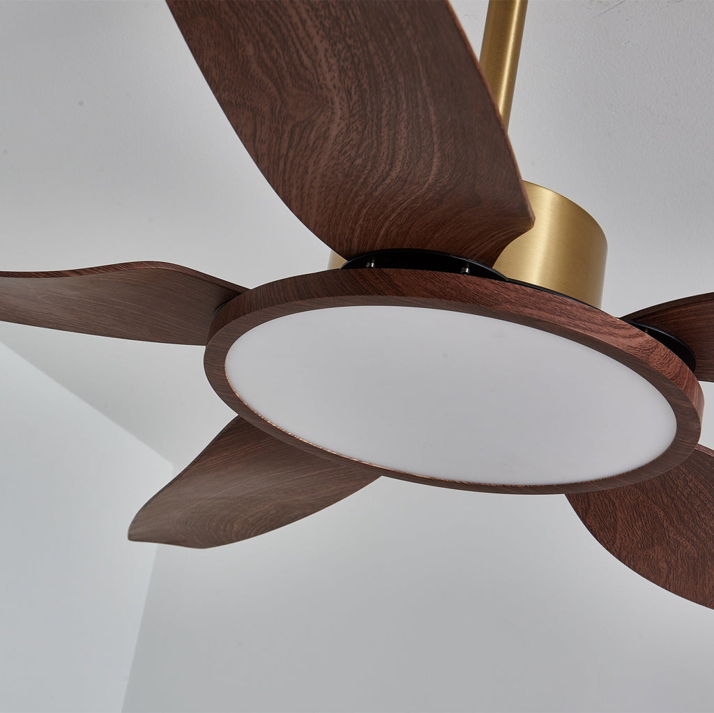 Close view of the unlit light disc and walnut-grain blade roots on this Clérachic ceiling fan, with the gold down-rod above.
