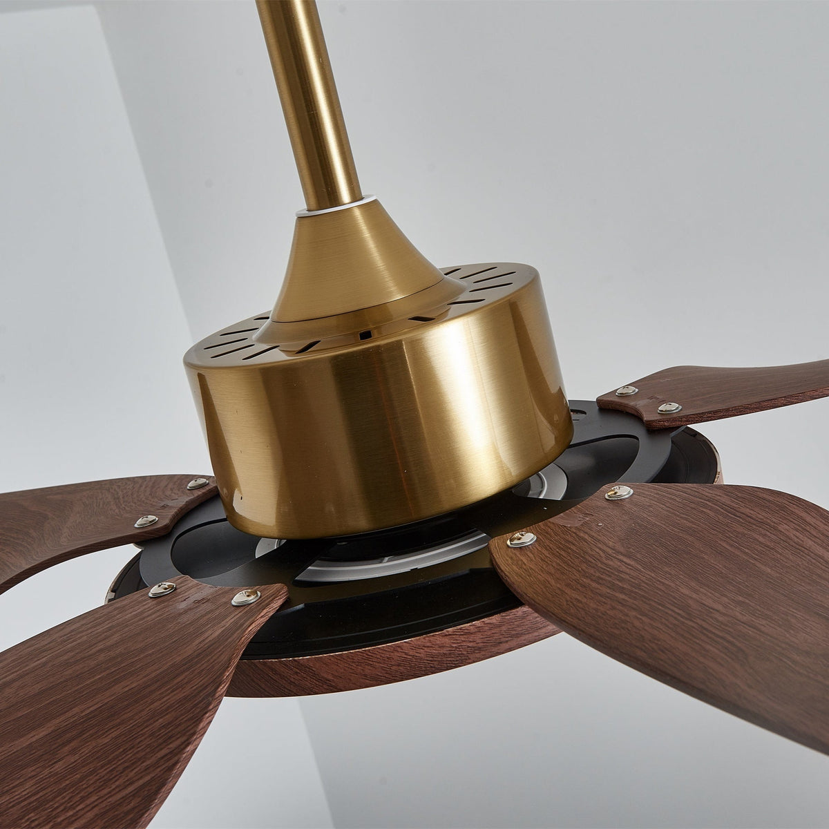 Close view of the gold motor housing, black blade mount and screws holding the walnut-grain blades on this Clérachic ceiling fan.