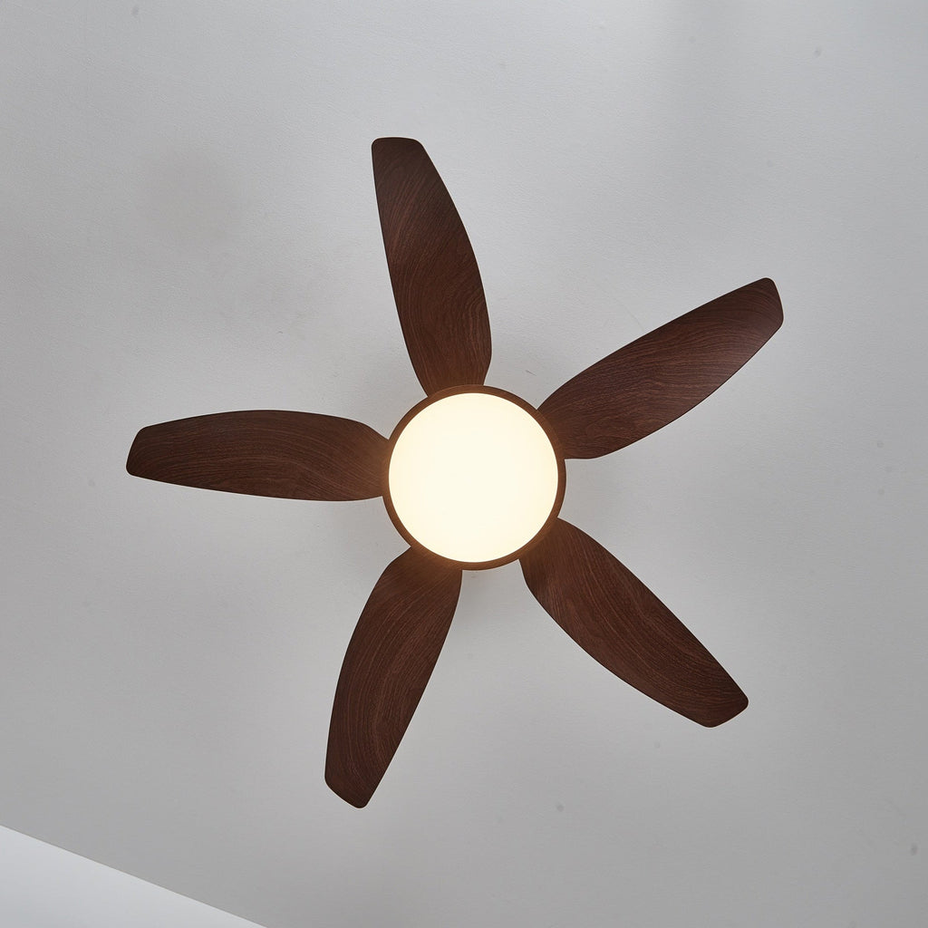 View from directly below of the Clérachic ceiling fan, five walnut-grain blades radiating around a warm-lit round light.