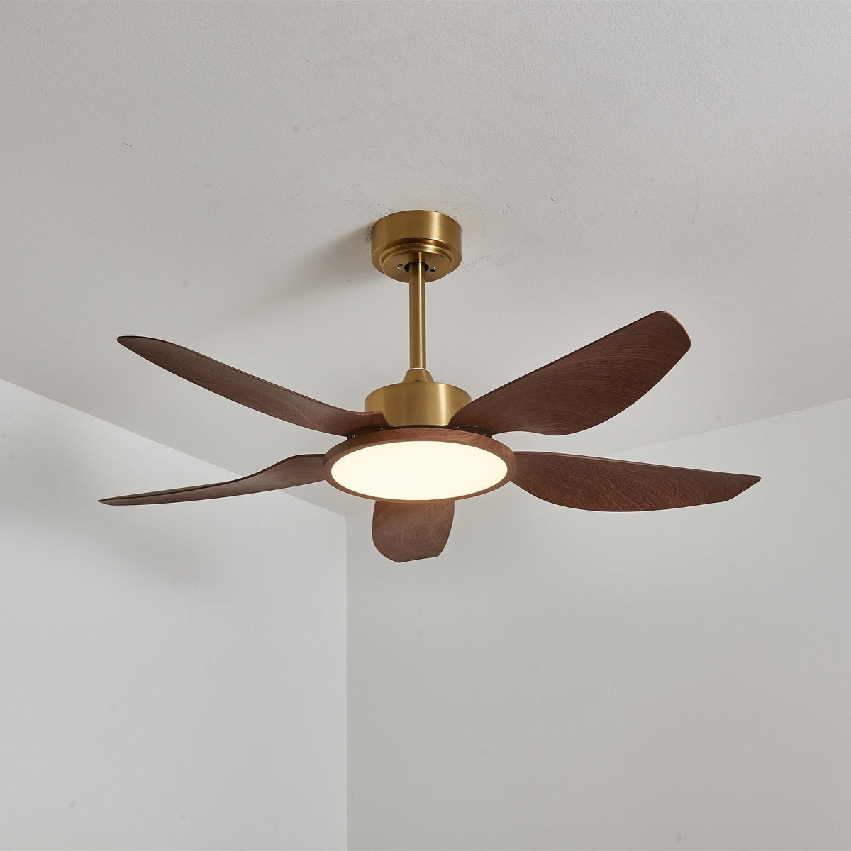 A Clérachic ceiling fan from the side, five walnut-grain blades under a gold down-rod, its round light glowing warm.