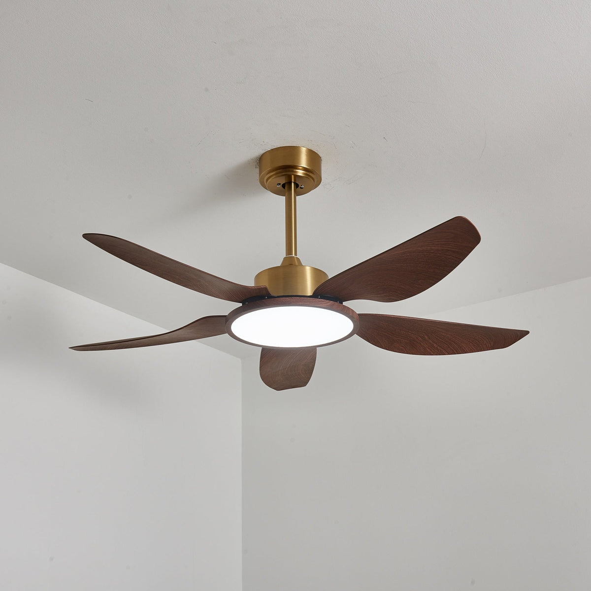 The Clérachic ceiling fan from the side with its round light on in a cool white, five walnut-grain blades below a gold canopy.