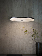 The Clérachic Flat Disc Pendant Light against a raw concrete wall, its downward halo lighting dried grasses in a glass vase below.