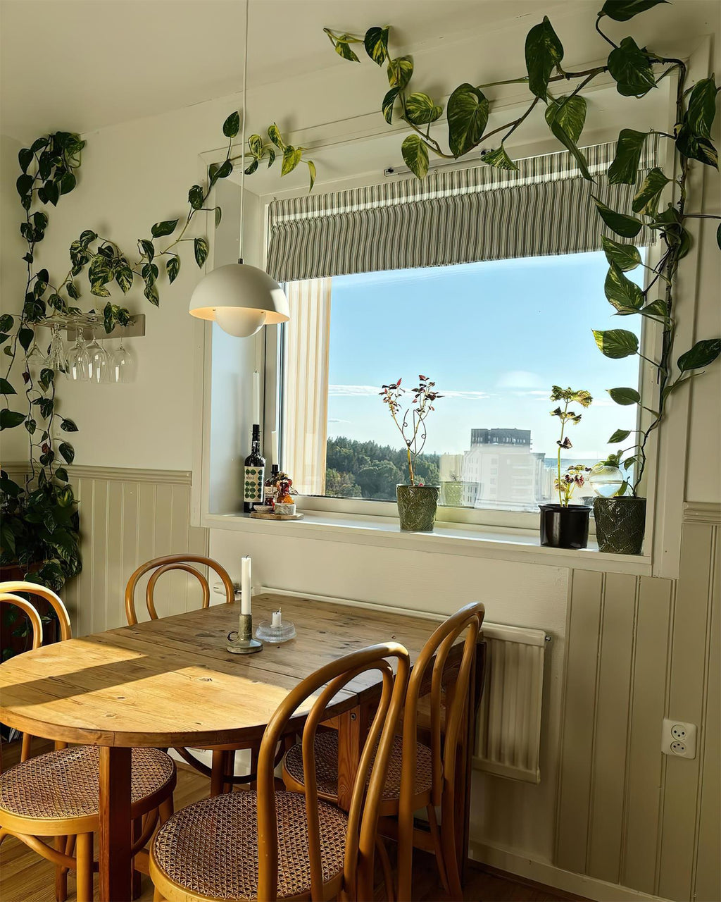 Clérachic's Flowerpot pendant in white, its cord swagged near a window framed by trailing plants.