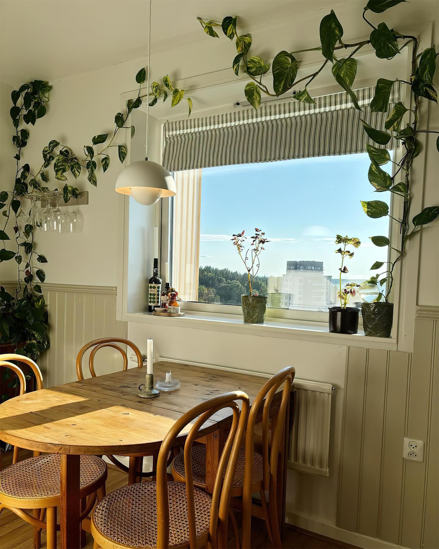 Clérachic's Flowerpot pendant in white, its cord swagged near a window framed by trailing plants.