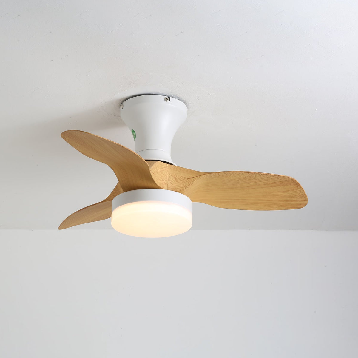 Angled view of this Clérachic ceiling fan, a white canopy and round warm-lit light under three pale wood-grain blades.