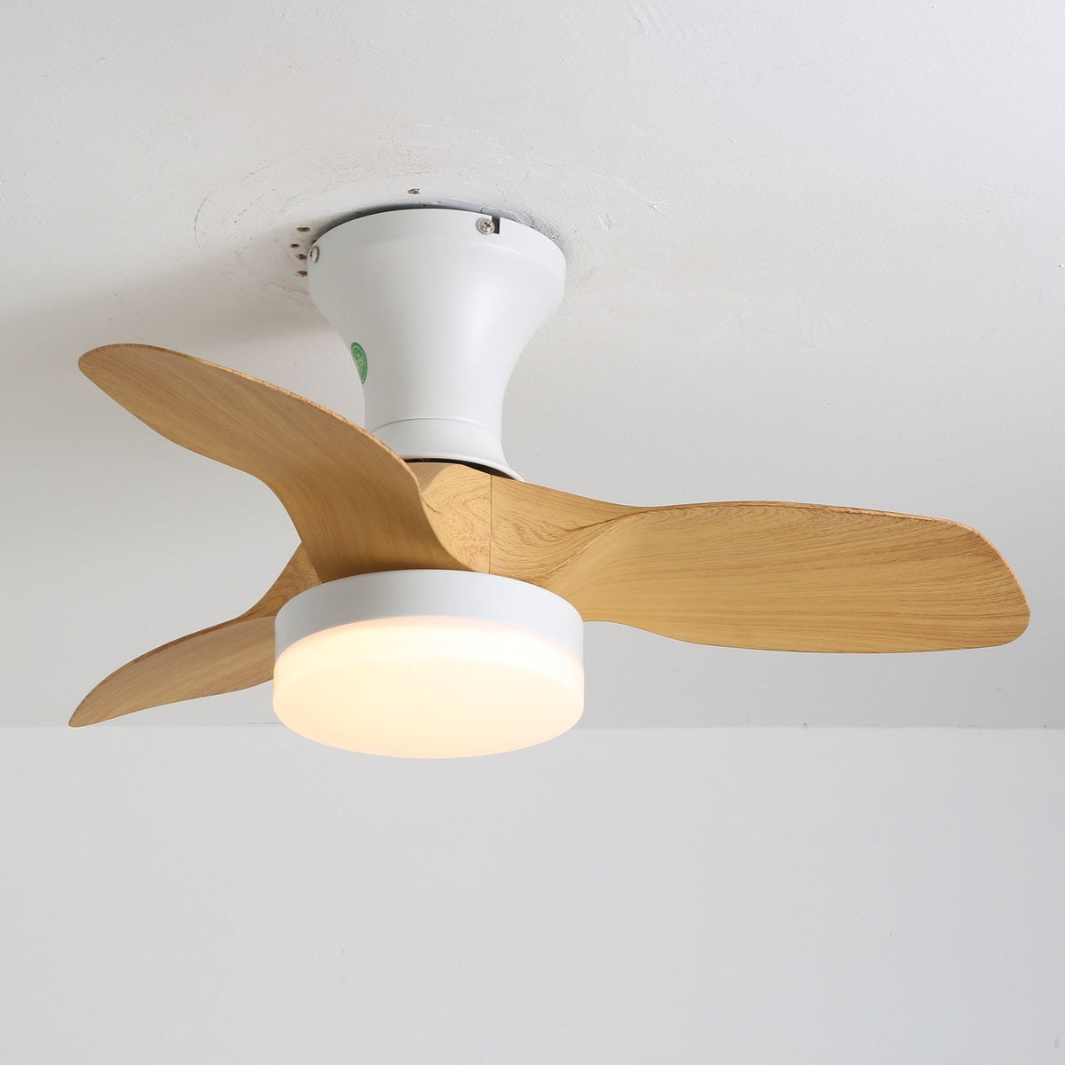 Close, low angle on this Clérachic fan's white canopy, light-wood blades and glowing round light fitted to a white ceiling.