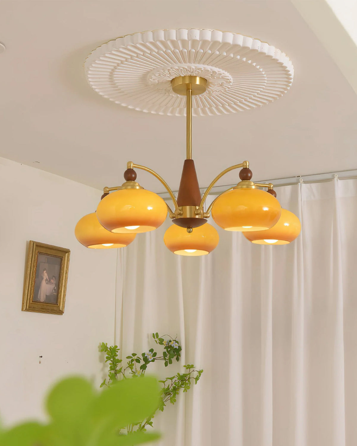Caramel glass Clérachic chandelier below a pleated ceiling rose, in front of white curtains with a leafy plant at the bottom.