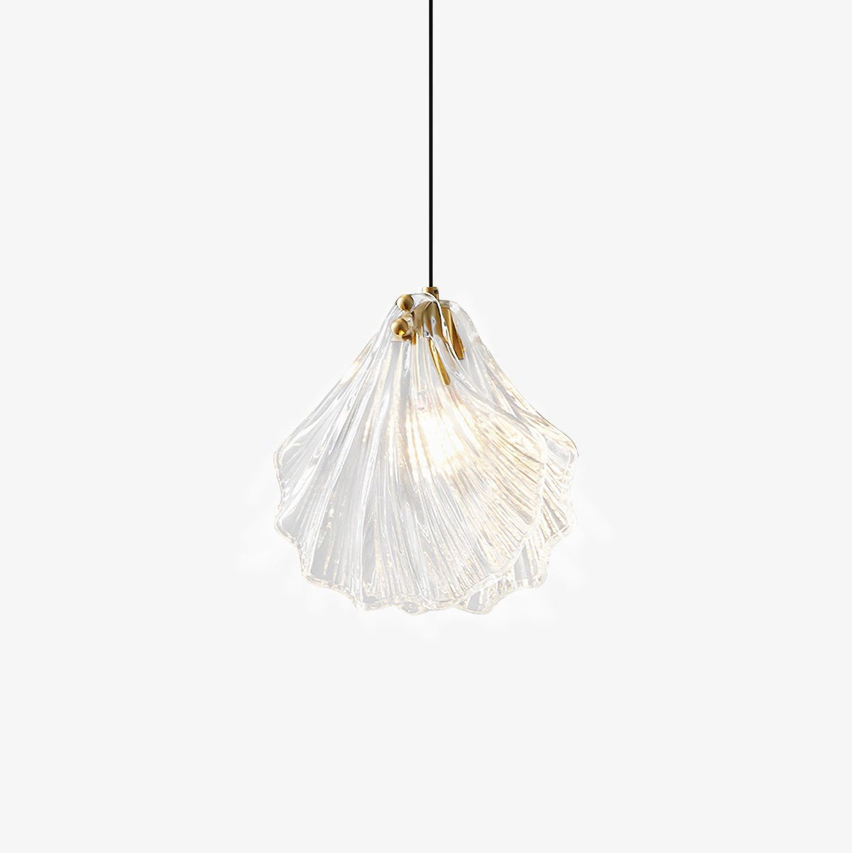 A Clérachic shell-shaped glass pendant with a brass cap hangs from a black cord, its ribbed clear glass lit on a plain white backdrop.