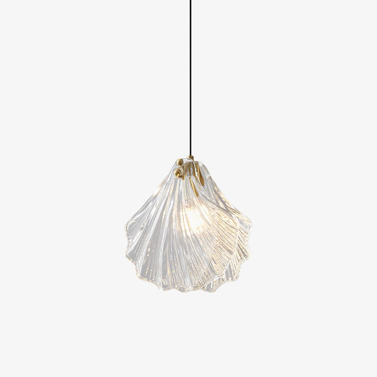 A Clérachic shell pendant with layered clear glass ribs, lit and hanging from a thin black cord on a white background.