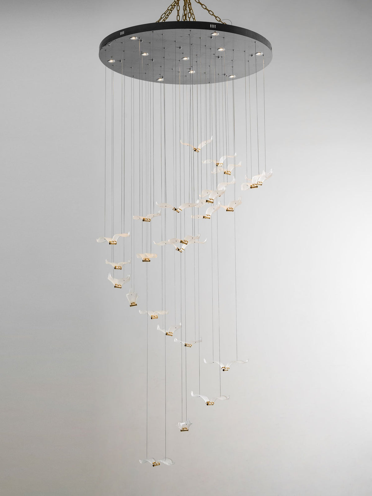 A tall Clérachic seagull chandelier with a large dark canopy and a long spiral of tiny glass gulls on fine cables.
