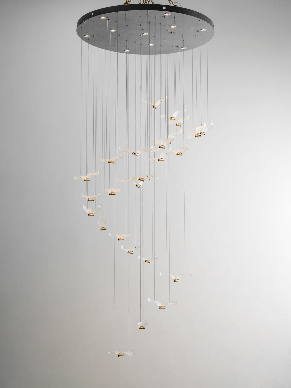 This Clérachic seagull chandelier hangs from a large dark canopy, its glass gulls glowing in a long spiral.