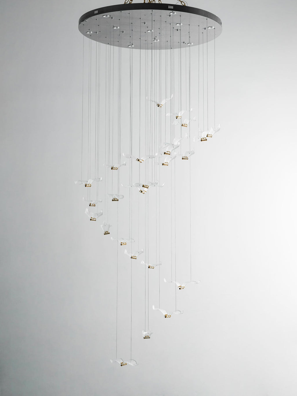 A Clérachic seagull chandelier with a large dark canopy and unlit glass gulls on fine cables, on a pale grey backdrop.