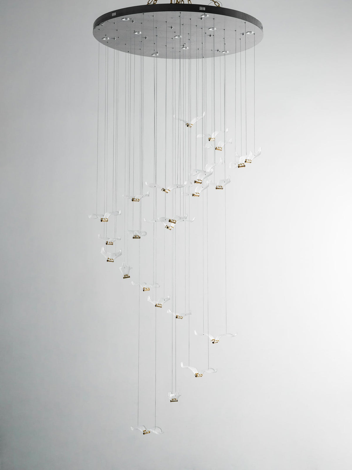 A Clérachic seagull chandelier with a large dark canopy and unlit glass gulls on fine cables, on a pale grey backdrop.