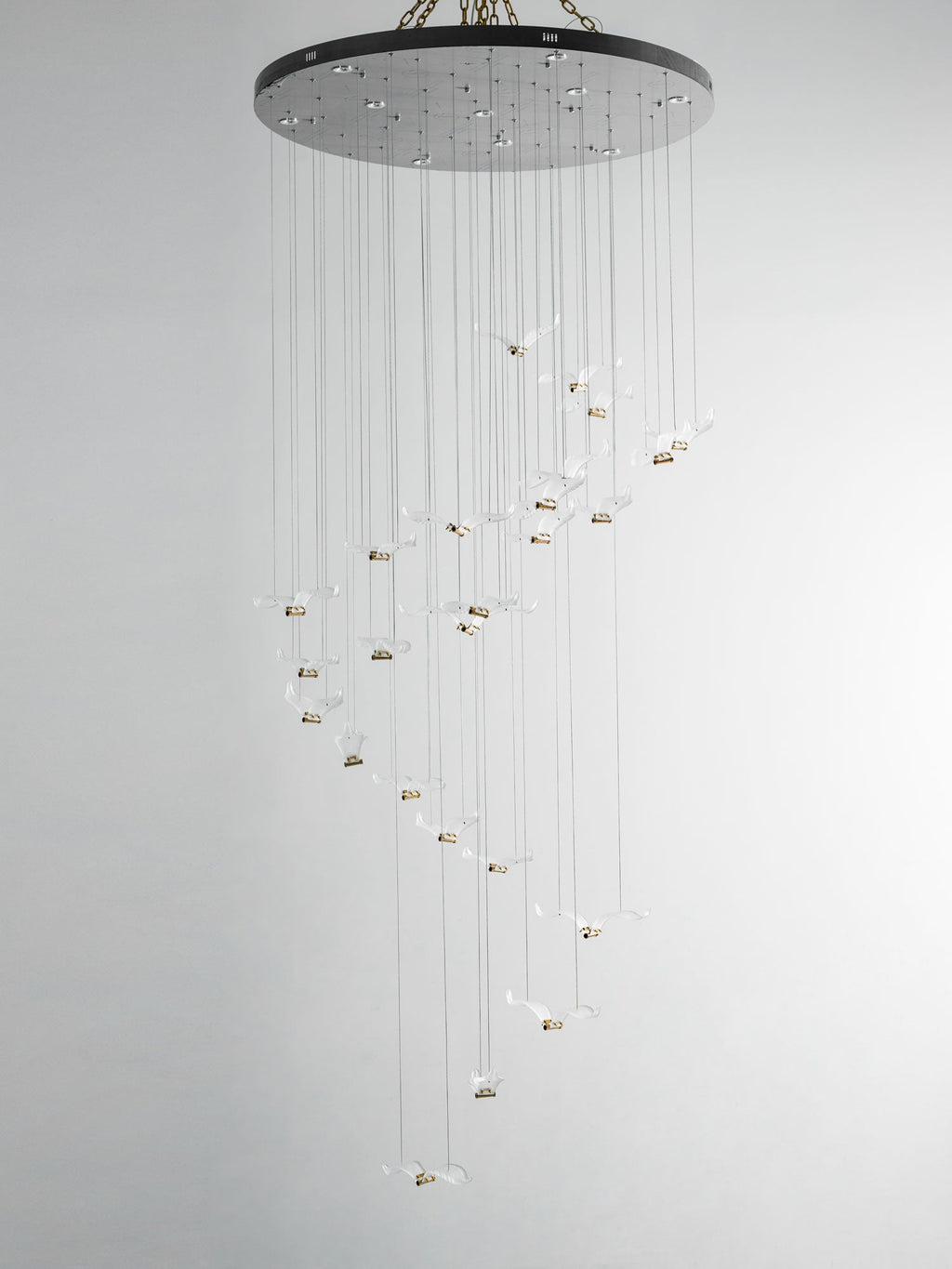 Unlit glass gulls spiral down on fine cables from the dark canopy of this Clérachic seagull chandelier.