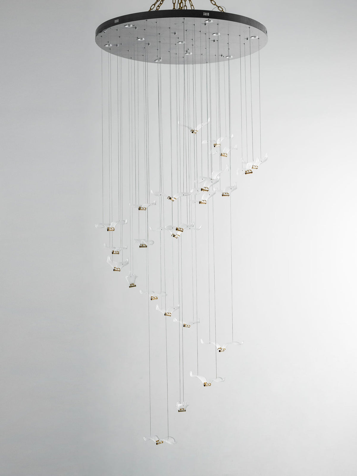 Unlit glass gulls spiral down on fine cables from the dark canopy of this Clérachic seagull chandelier.