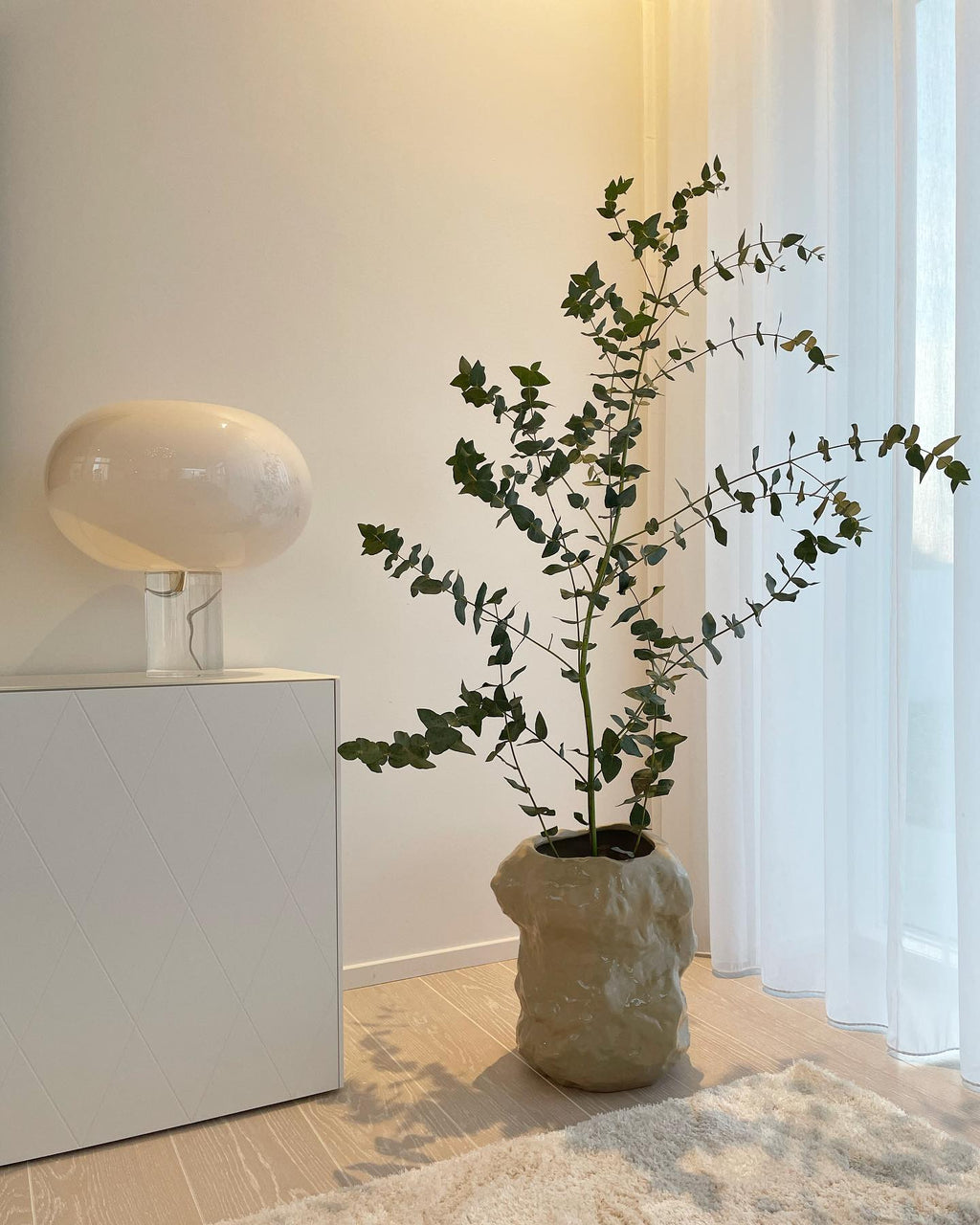 A white glass Clérachic lamp on a clear base sits on a white cabinet beside a tall eucalyptus plant in a stone-coloured pot, by a window.