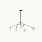 Black and white Clérachic chandelier on a soft cream backdrop, its curved arms holding five white frosted globes.