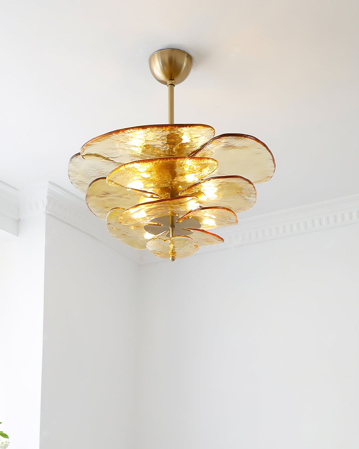 Amber Clérachic chandelier lit in a white corner, with pale gold glass petals and a short brass rod below the ceiling cup.