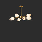 Six-shade Clérachic chandelier lit on a charcoal studio background, brass arms and one stem.